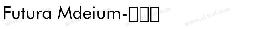 Futura Mdeium字体转换